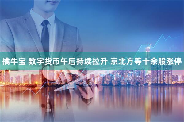 擒牛宝 数字货币午后持续拉升 京北方等十余股涨停