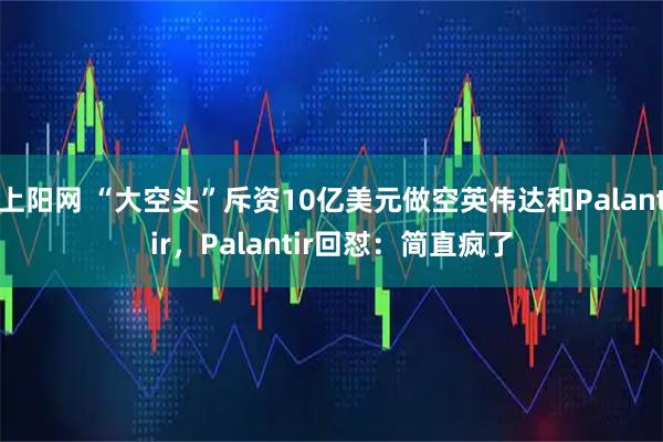 上阳网 “大空头”斥资10亿美元做空英伟达和Palantir，Palantir回怼：简直疯了