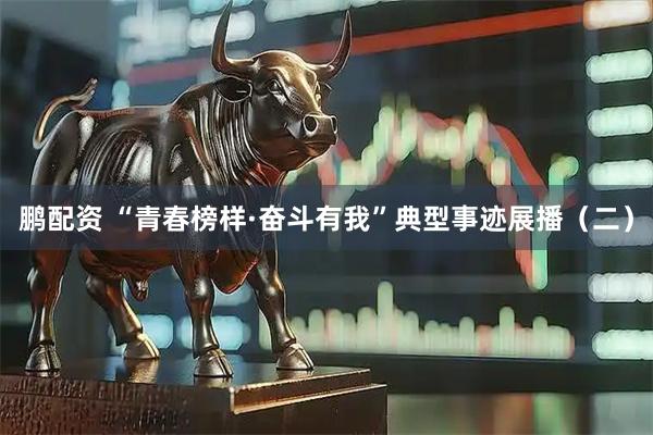 鹏配资 “青春榜样·奋斗有我”典型事迹展播（二）